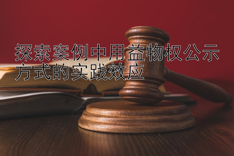 探索案例中用益物权公示方式的实践效应