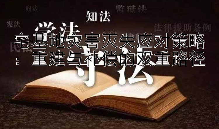 宅基地灾害灭失应对策略：重建与补偿的双重路径