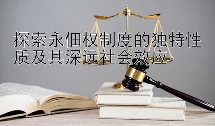 探索永佃权制度的独特性质及其深远社会效应