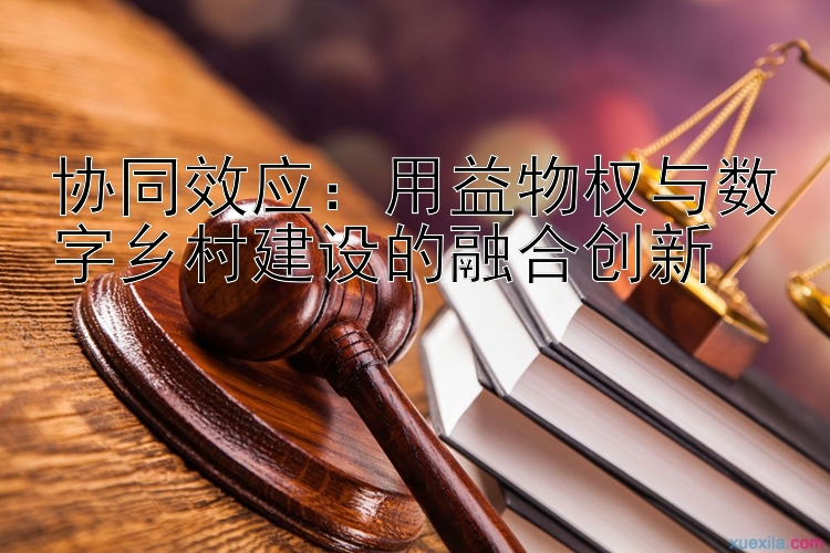 协同效应：用益物权与数字乡村建设的融合创新