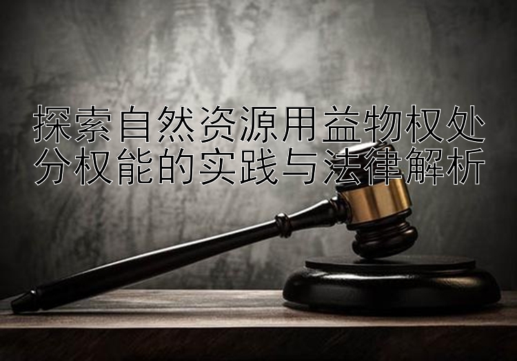 探索自然资源用益物权处分权能的实践与法律解析