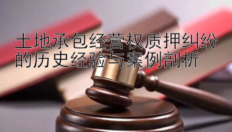 土地承包经营权质押纠纷的历史经验与案例剖析