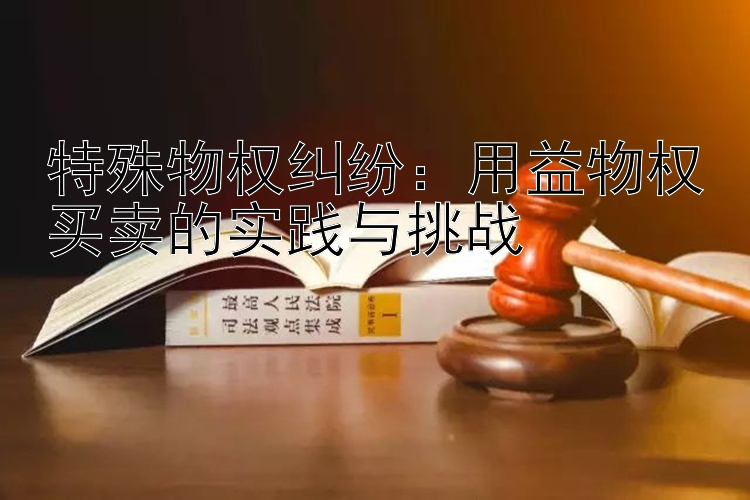 特殊物权纠纷：用益物权买卖的实践与挑战