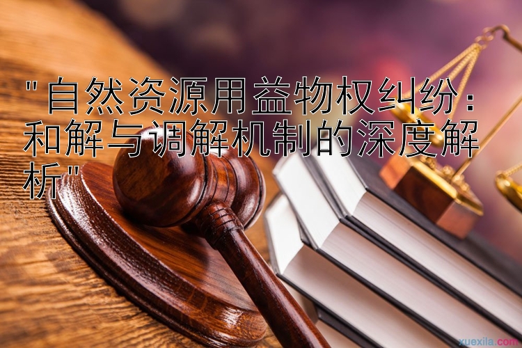 自然资源用益物权纠纷：和解与调解机制的深度解析