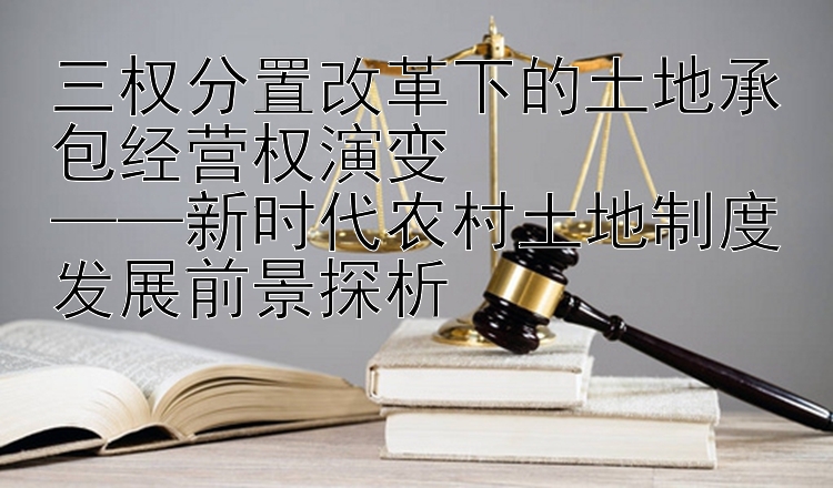 三权分置改革下的土地承包经营权演变  
——新时代农村土地制度发展前景探析