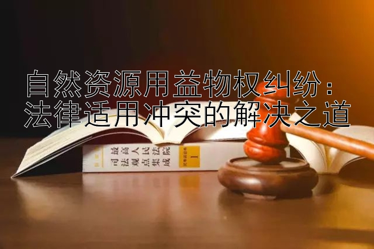 自然资源用益物权纠纷：法律适用冲突的解决之道