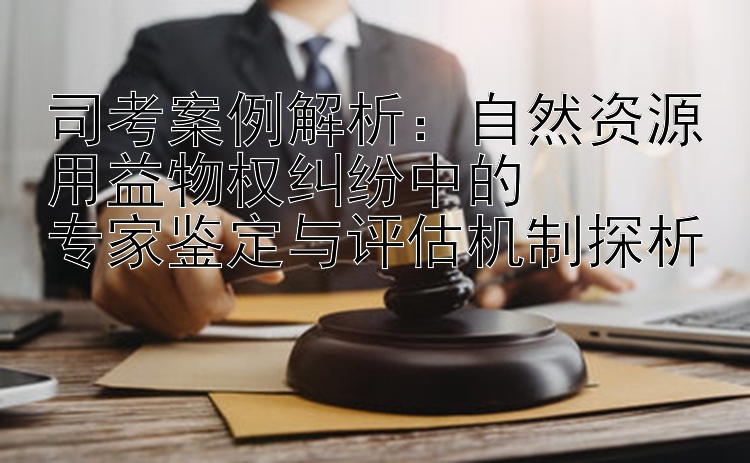 司考案例解析：自然资源用益物权纠纷中的  