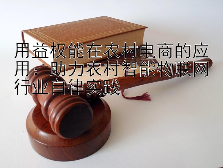 用益权能在农村电商的应用：助力农村智能物联网行业自律实践