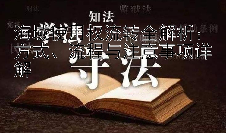 海域使用权流转全解析：方式、流程与注意事项详解